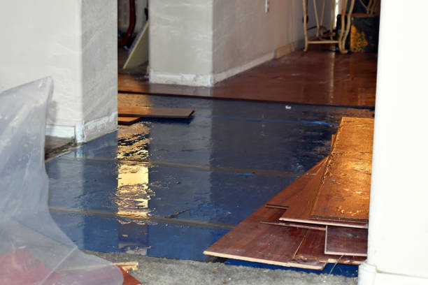 Professional Emergency Water Damage Restoration technician working in Six Lakes, MI